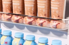 Grab-and-Go Plant Protein Shakes