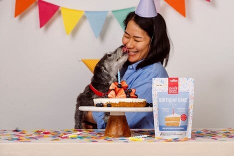 Dog-Friendly Cake Mixes