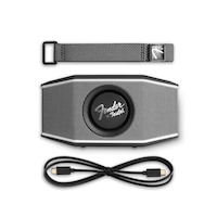 Stage-Inspired Portable Audio Systems Image 5