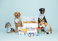 Shelf-Stable Human-Grade Dog Foods Image 1