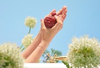 Kind-Hearted Bodycare Collabs Image 2