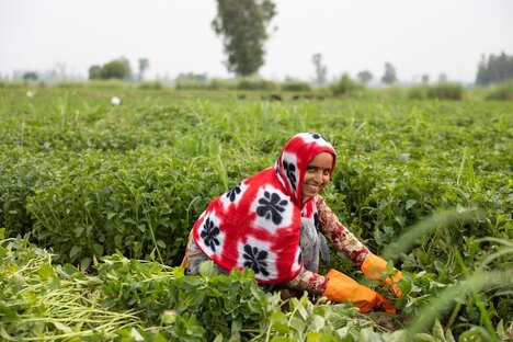Mint Supply Chain Expansions