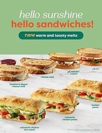 Handcrafted Sandwich Expansions Image 1