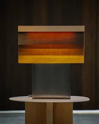 Biofabricated Lighting Image 2