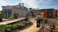 Community Garden Campuses Image 2