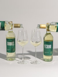 Exploratory Wine Collections