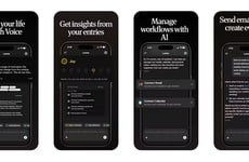 AI Personal Productivity Assistants