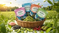 Plant-Based Protein Bean Snacks Image 1