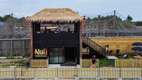 Experiential Ice Cream Treehouses