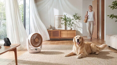 Connected Cord-Free Fans