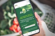 Avocado Education Platforms