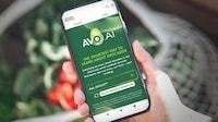 Avocado Education Platforms