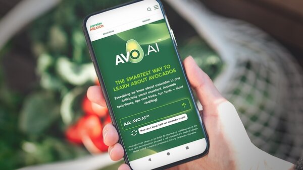 Avocado Education Platforms