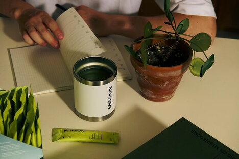 Creatine-Infused Matcha Sticks