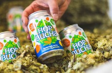 Fermented Alcohol-Free Beers