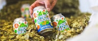 Fermented Alcohol-Free Beers