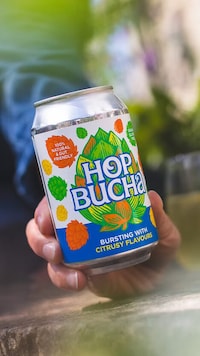 Fermented Alcohol-Free Beers Image 2