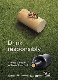 Sustainable Responsible Drinking Campaigns Image 1