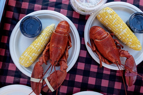 Family-Friendly Lobster Festivals