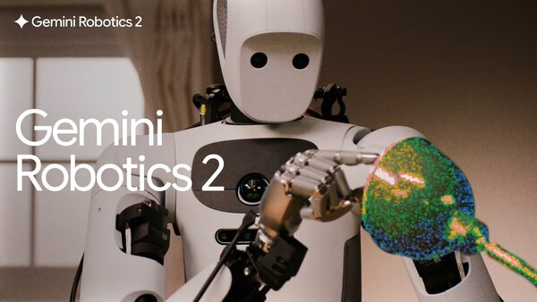 High-Level Robot Brains