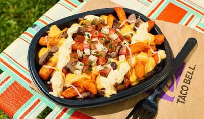 Marinated Steak-Topped Fries