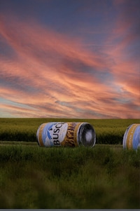 Outdoor Beer Advertising Campaigns Image 1