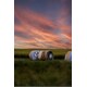 Outdoor Beer Advertising Campaigns Image 1