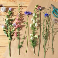 Seasonal Organic Bouquet Blooms Image 2