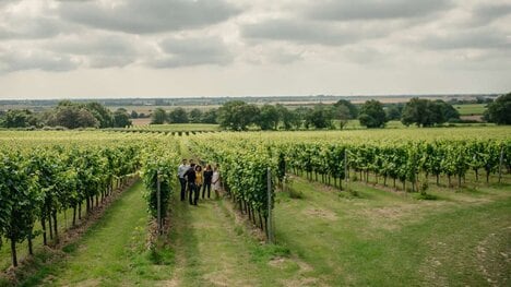Pinot Noir Sparkling Bottles
