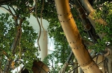 Futuristic Steampunk-Inspired Installations