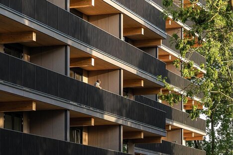 Mass-Timber Residential Building Designs
