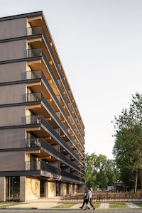 Mass-Timber Residential Building Designs Image 2
