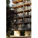 Mass-Timber Residential Building Designs Image 3