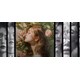 React Component Libraries Image 1