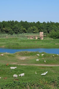 Cave-Like Wetland Discovery Pavilions Image 4