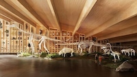 Award-Winning Natural History Museums Image 2