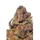 Mood-Matching THC Gummies Image 8