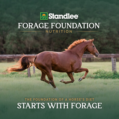 High-Quality Forage Campaigns
