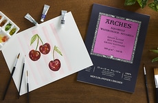 Fine Art-Honoring Retailer Initiatives