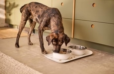 Intuitive Pet Care Collections