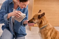 Intuitive Pet Care Collections Image 2