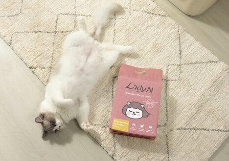 Pheromone-Infused Cat Litters