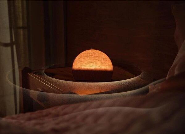 Contactless Sleep Trackers