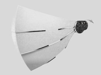 Sleek Privacy Wearables Image 3