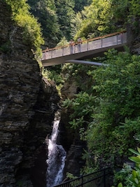 Cantilever Gorge Bridges Image 3