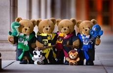 Wizard Plush Collections