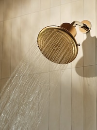 Beauty-Wellness Showerheads Image 1