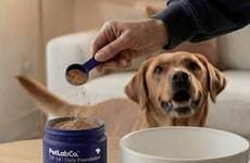 Multifunctional Pet Health Powders