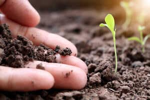Environmental Remediation Purchases Article Thubnail