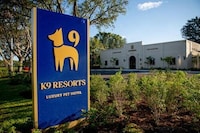 Luxury Pet Resorts Image 2